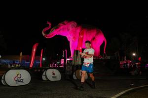 BIB: 
                            <button type="button" onclick="openModal(26534364)" class="btn btn-primary btn-sm float-right btn-popup" data-toggle="modal" data-target=".modal-high-quality">
                        <i class="fas fa-shopping-cart"></i> Add to Cart
                    </button>
                                            <button type="button" onclick="isThisMe(26534364, true)" class="btn btn-success btn-sm float-right btn-popup btn-isme hidden" data-toggle="tooltip" data-placement="bottom" title="นี่คือรูปของคุณใช่ไหม คลิกที่นี่เพื่อเอาเข้าอัลบั้ม">
                        <i class="fas fa-plus"></i> Add to album
                    </button>
                    <button type="button" onclick="isThisMe(26534364, false)" class="btn btn-warning btn-sm float-right btn-popup btn-isnotme hidden">
                        <i class="fas fa-ban"></i> Remove from album
                    </button>